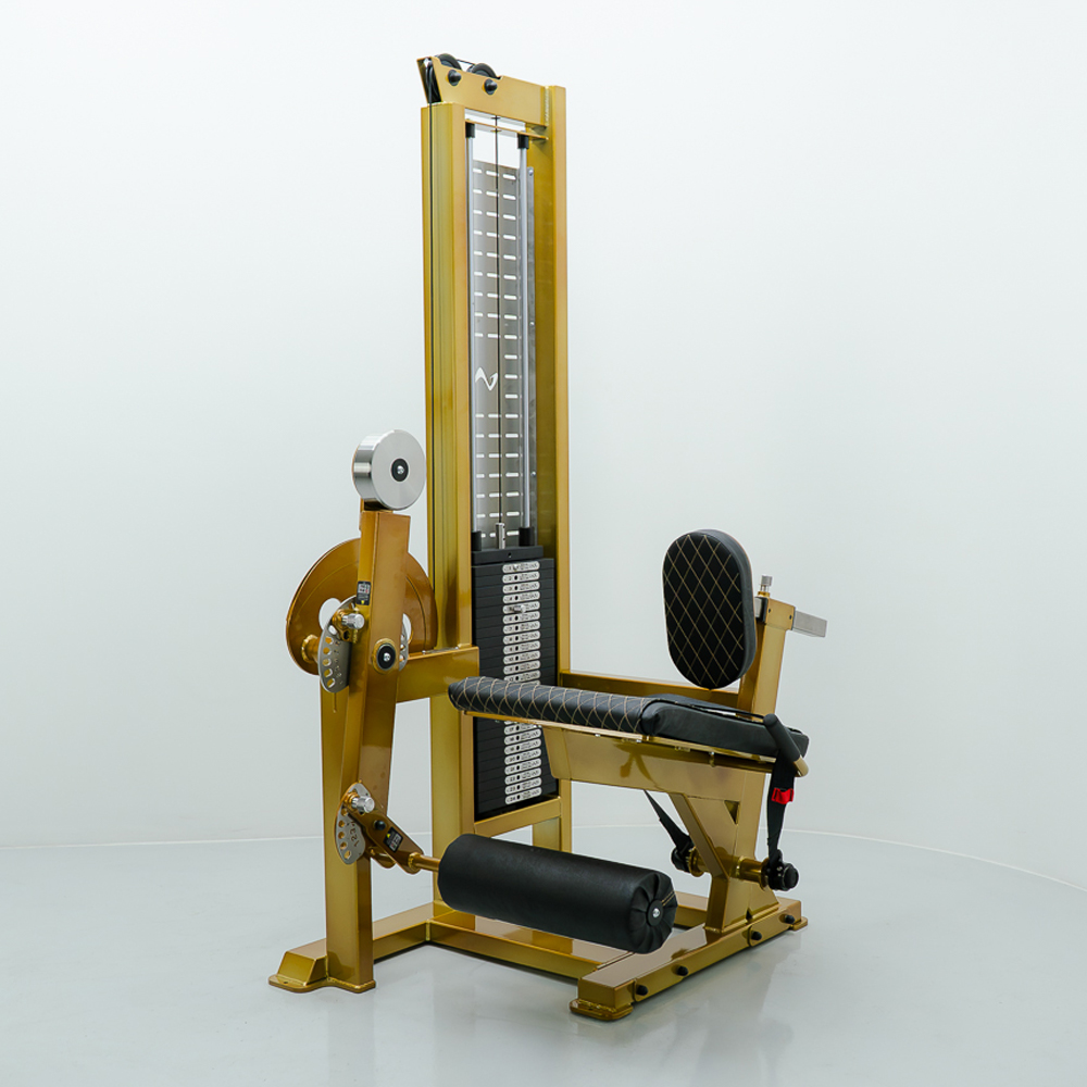 SS Leg Extension