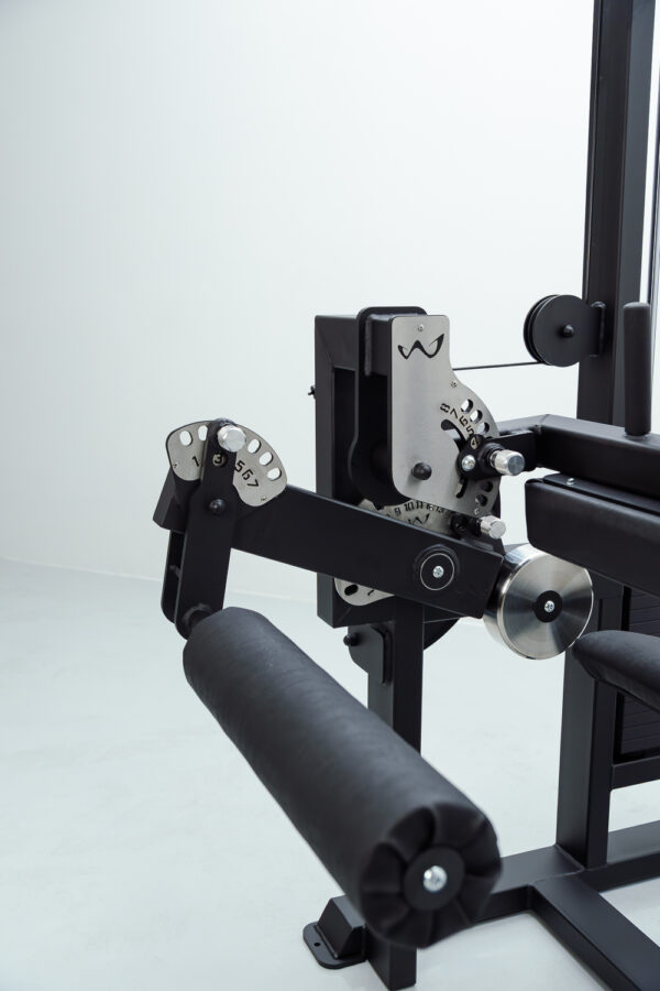 SS Seated Leg Curl