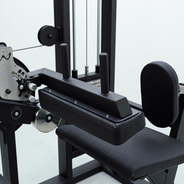 SS Seated Leg Curl