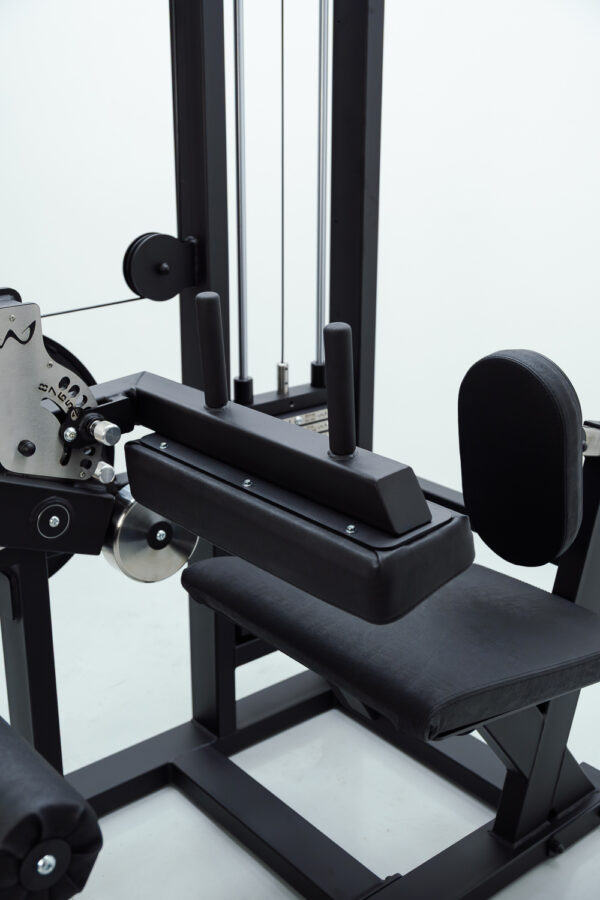 SS Seated Leg Curl