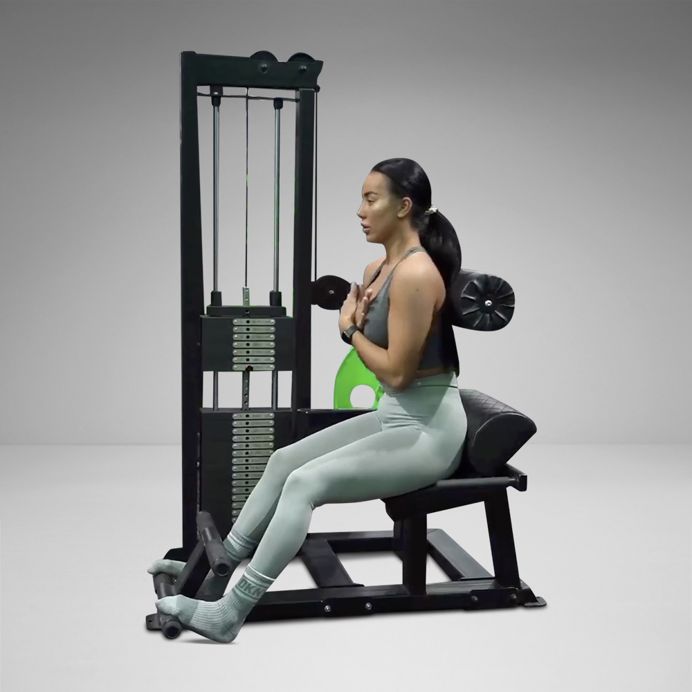Single Stack Back Extension - Watson Gym Equipment