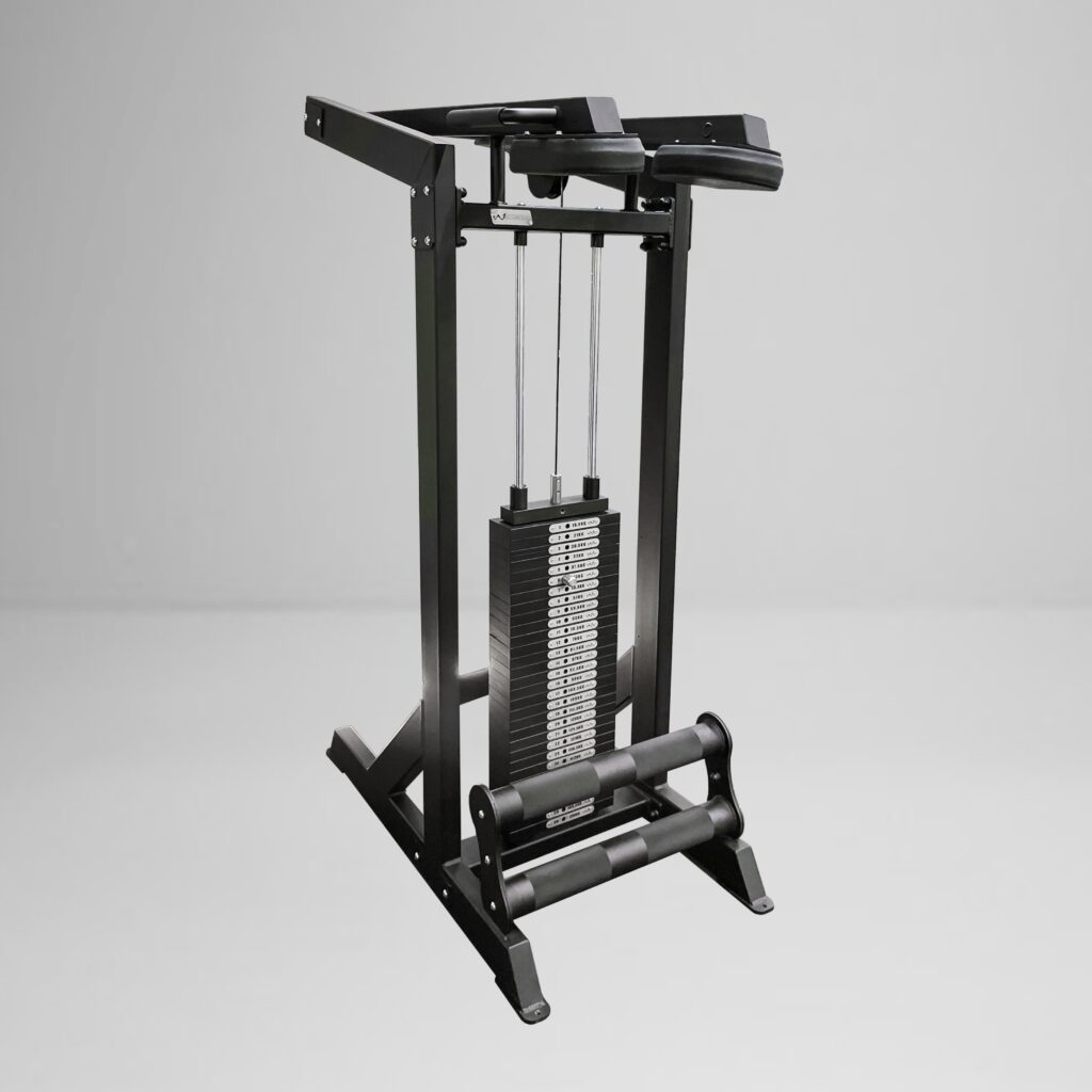 SS Calf Raise