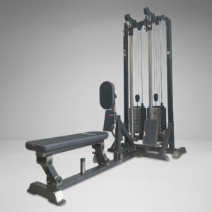 Animal Dual Stack Low Pulley - Watson Gym Equipment