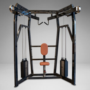 Animal Dual Stack High Pulley Row
