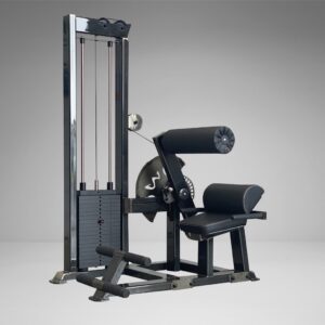 SS Back Extension
