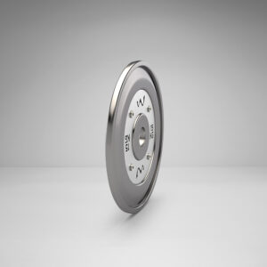 Pro Olympic Weight Plates