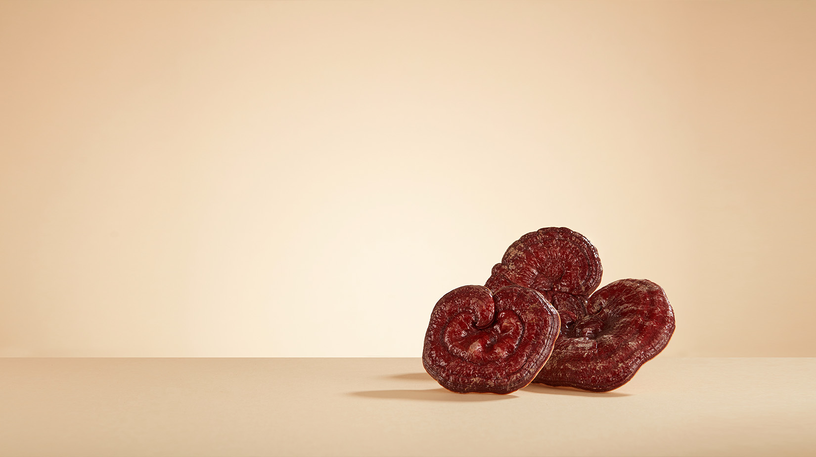 Reishi on table