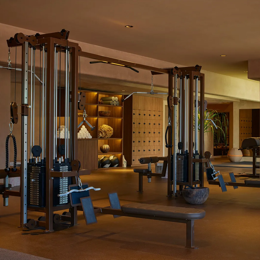 Multi-Gyms