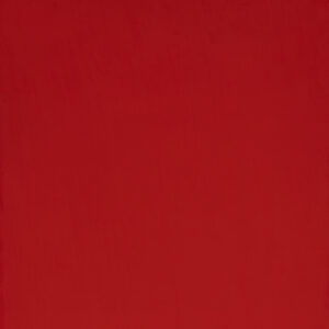 Bright Red Gloss (RAL3020)