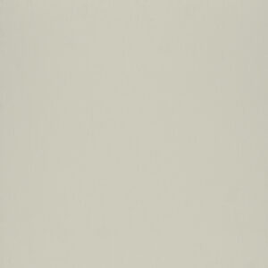 Cream (RAL9001)