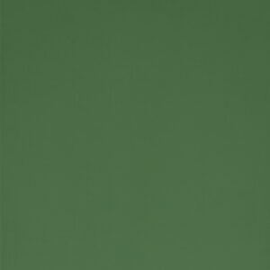 Dark Green (RAL6001)