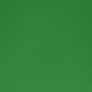 Green Gloss (RAL6018)