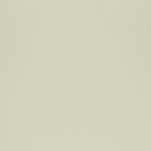 Ivory (RAL1015)