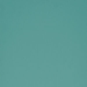 Light Green (RAL6027)