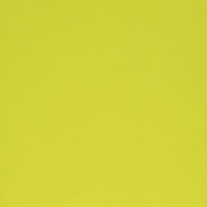 Neon Yellow (EE005JR)