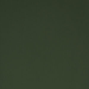 Olive Green (RAL6003)