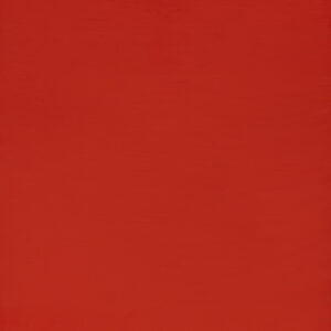 Pantone Red Gloss (485E)