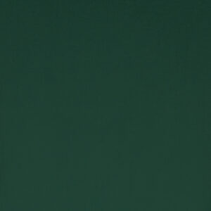 Pine Green (RAL6028)