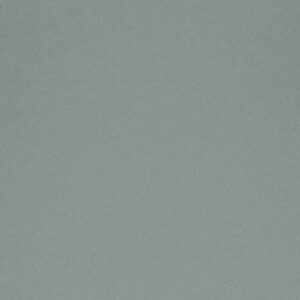Platinum Silver (RAL 9002)