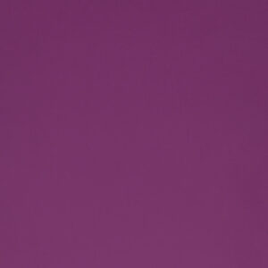 Purple Gloss (RAL4008)