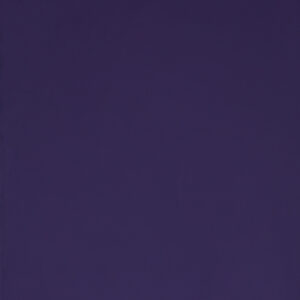 Purple Gloss (RAL4800)