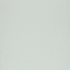 White Gloss (RAL9003)