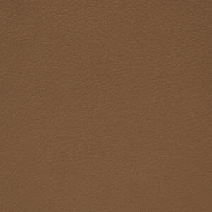 Portus Camel