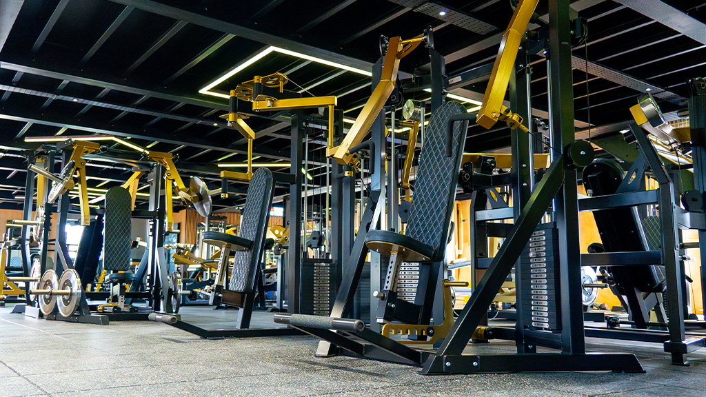 Chest Machine Lineup