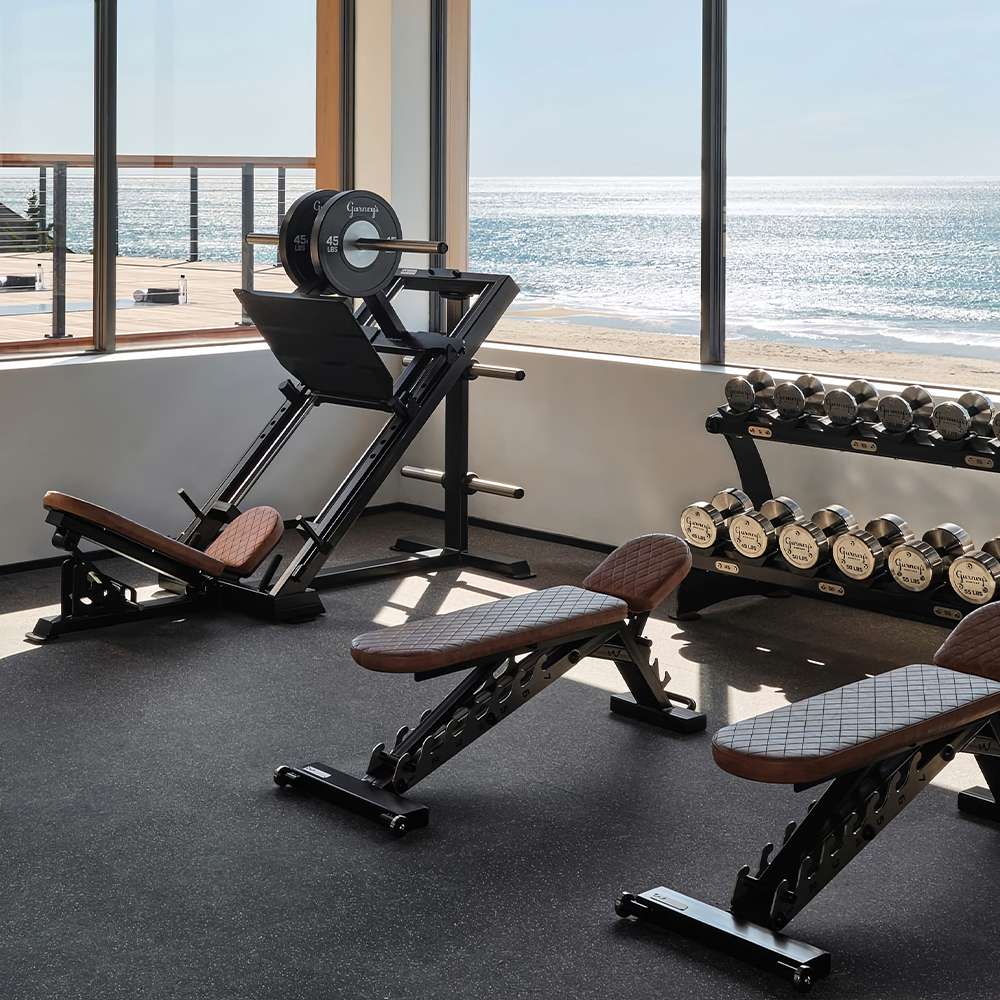 Commercial Gym Equipment for luxury hotels
