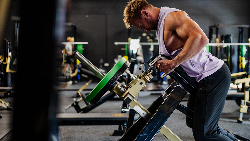 T-Bar Row Back Workout
