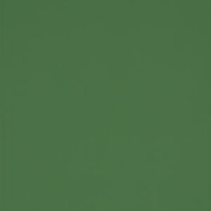 Dark Green (RAL6001)