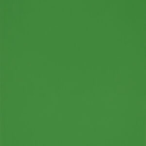 Green Gloss (RAL6018)