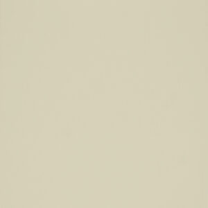Ivory (RAL1015)