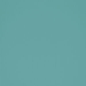 Light Green (RAL6027)