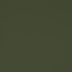 Olive Green (RAL6003)
