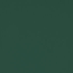 Pine Green (RAL6028)