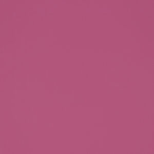 Pink Gloss (RAL 4003)