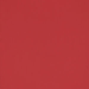 Strawberry Red (RAL3018SG)